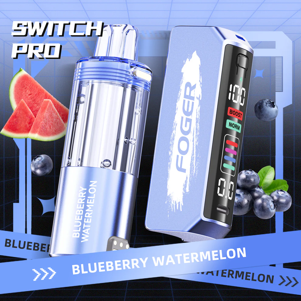 Blueberry Watermelon Foger Switch Pro Kit 30K Puffs - Image 2