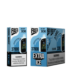 FASTA V2 Cool Mint 37000 puffs
