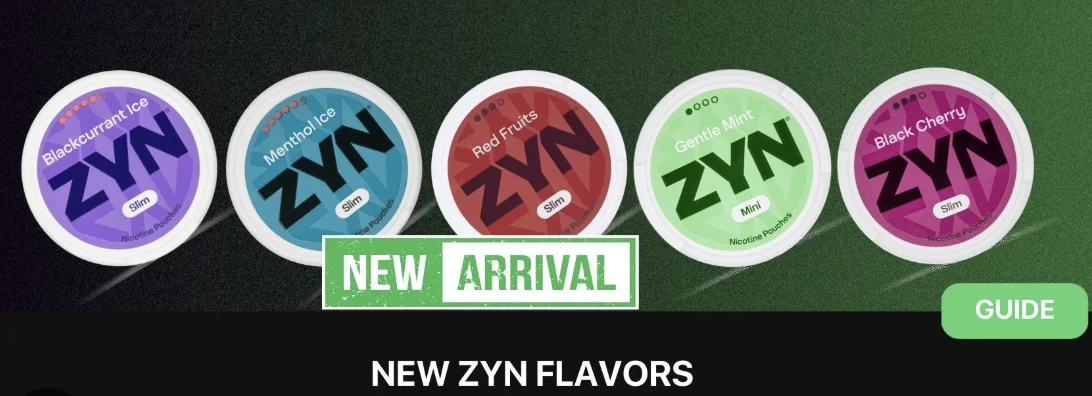 New ZYN Flavors You Must Try in 2026