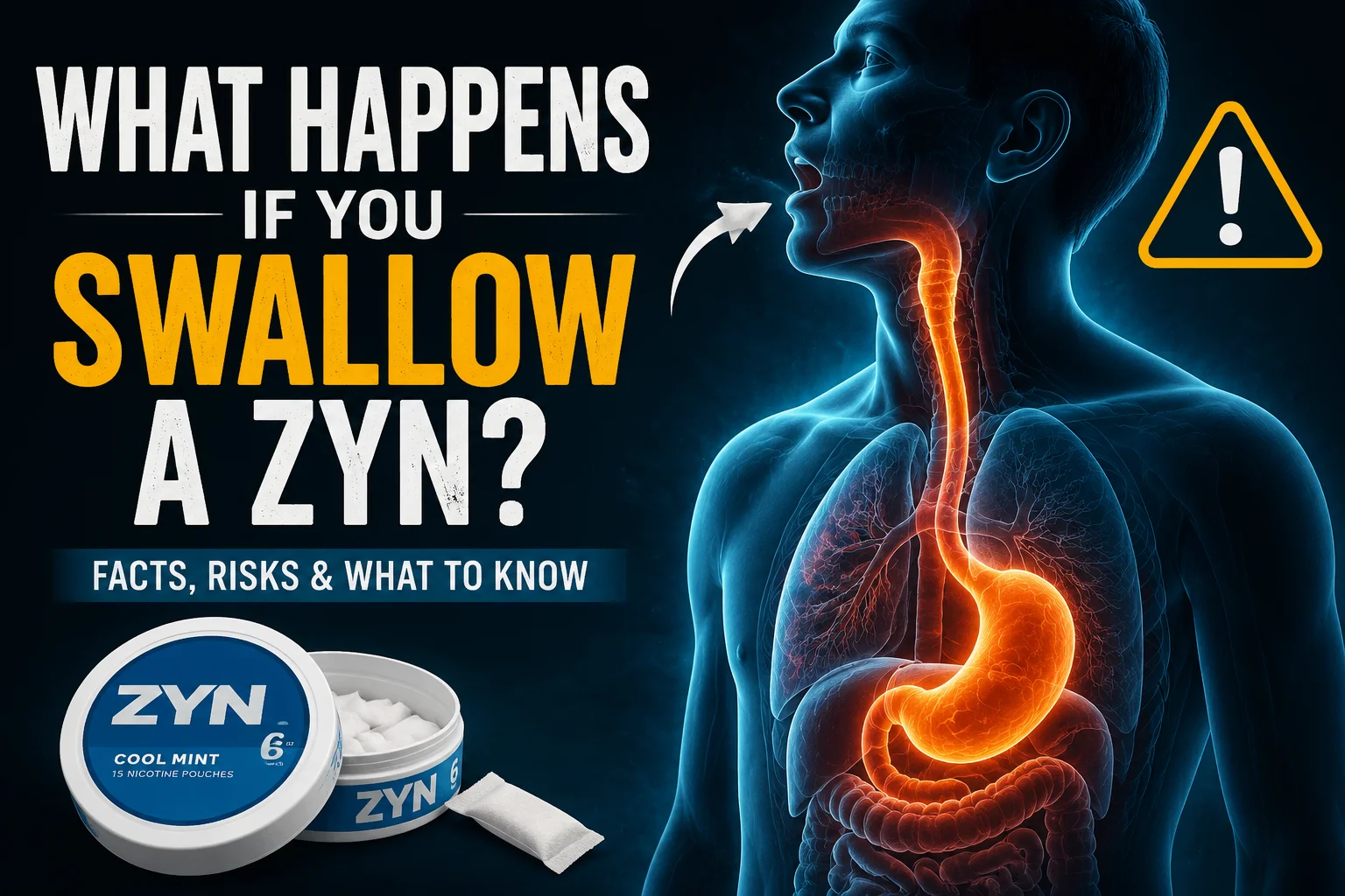 I Swallowed a Zyn by Accident – Here’s What Happened
