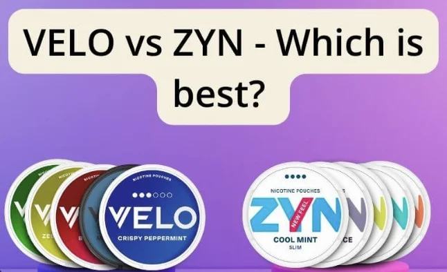 Velo vs Zyn: Which Nicotine Pouch Is Right for You in 2026?
